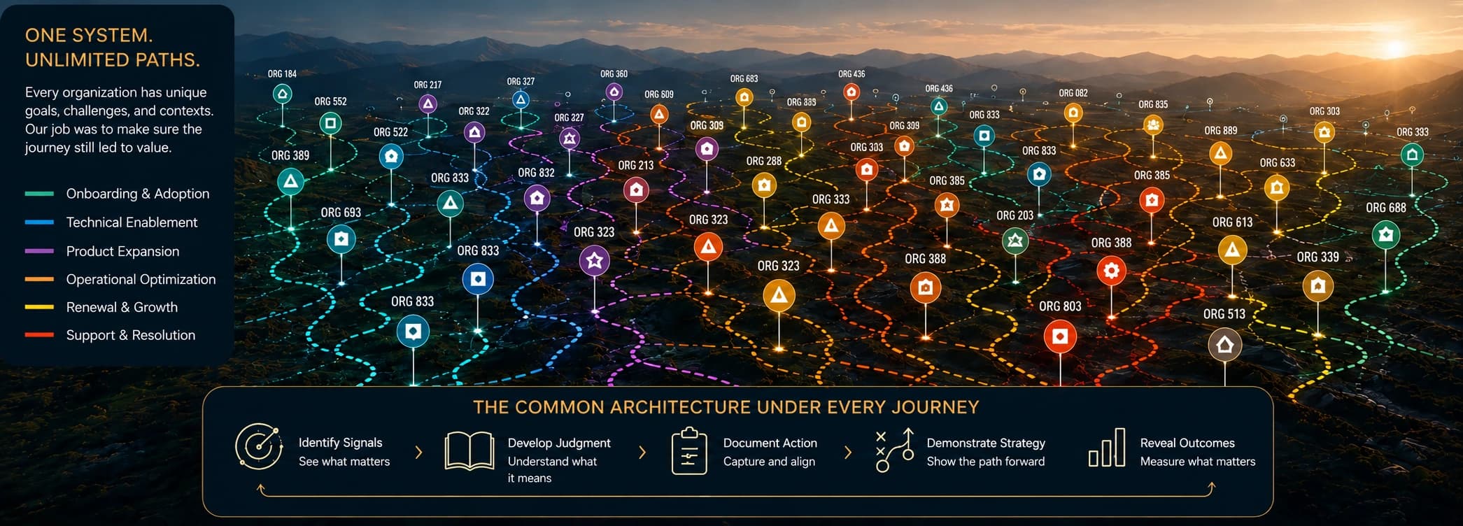 Confidentiality-safe reconstruction showing hundreds of organizations following different paths through a shared customer journey architecture